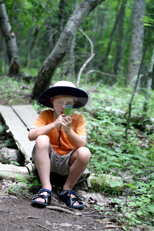 To use this stock image in your creative project, please select the size you need over to the right and click the "Add to Cart" button.
Your downloaded image will come with the Cutcaster watermark removed so don’t worry about the watermark you see on this page. Boy studying nature stock photo, Young boy looking through magnifying glass at a leaf found on the hiking trail by Sue and Shawn Roberts