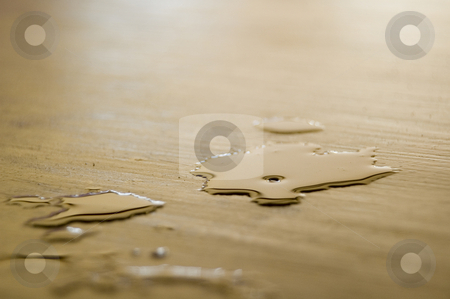 To use this stock image in your creative project, please select the size you need over to the right and click the "Add to Cart" button.
Your downloaded image will come with the Cutcaster watermark removed so don’t worry about the watermark you see on this page. After the Drink 2 stock photo, Condensation from a very cold beer on a very hot day by Irene Scales