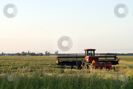 To use this stock image in your creative project, please select the size you need over to the right and click the "Add to Cart" button.
Your downloaded image will come with the Cutcaster watermark removed so don’t worry about the watermark you see on this page. Harvest Time stock photo, A combine about to start harvesting a field by Richard Nelson