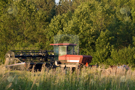 To use this stock image in your creative project, please select the size you need over to the right and click the "Add to Cart" button.
Your downloaded image will come with the Cutcaster watermark removed so don’t worry about the watermark you see on this page. Combine stock photo, A red combine harvesting some wheat in a field by Richard Nelson