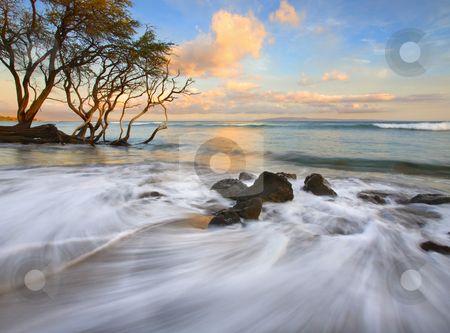 To use this stock image in your creative project, please select the size you need over to the right and click the "Add to Cart" button.
Your downloaded image will come with the Cutcaster watermark removed so don’t worry about the watermark you see on this page. Sunset Tides stock photo, A color sunset as the tides roll in near Lahaina, Maui, Hawaii. by Mike Dawson