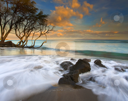 To use this stock image in your creative project, please select the size you need over to the right and click the "Add to Cart" button.
Your downloaded image will come with the Cutcaster watermark removed so don’t worry about the watermark you see on this page. Sunset in Paradise stock photo, Just Another sunset in Paradise, complete with a gnarled tree bathing in the incoming tides along the beach near Lahaina with Kahaloowe in the distance. by Mike Dawson