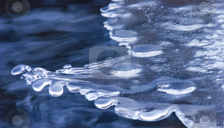 To use this stock image in your creative project, please select the size you need over to the right and click the "Add to Cart" button.
Your downloaded image will come with the Cutcaster watermark removed so don’t worry about the watermark you see on this page. Winters Grip stock photo, Ice reaching across the waters of the Tieton River after a week or more of su-freezing temperatures. by Mike Dawson