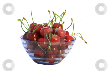 To use this stock image in your creative project, please select the size you need over to the right and click the "Add to Cart" button.
Your downloaded image will come with the Cutcaster watermark removed so don’t worry about the watermark you see on this page. Cherry fruits in blue vase stock photo, Ripe cherry fruits in a blue transparent vase by Natalia Macheda