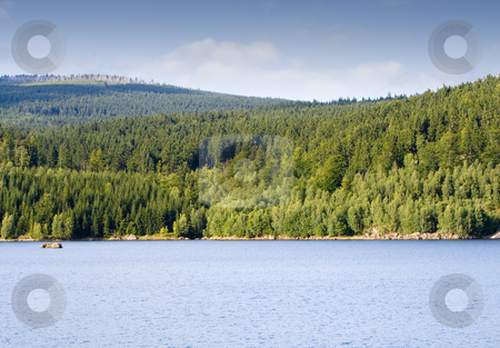 To use this stock image in your creative project, please select the size you need over to the right and click the "Add to Cart" button.
Your downloaded image will come with the Cutcaster watermark removed so don’t worry about the watermark you see on this page. Mountain Lake stock photo, A mountain lake in summer, Loc: 50 by Petr Koudelka