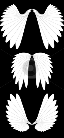 To use this stock image in your creative project, please select the size you need over to the right and click the "Add to Cart" button.
Your downloaded image will come with the Cutcaster watermark removed so don’t worry about the watermark you see on this page. Angel wings stock photo, Set of photoshop-rendered fractal illustration of white angel wings isolated over black by Natalia Macheda