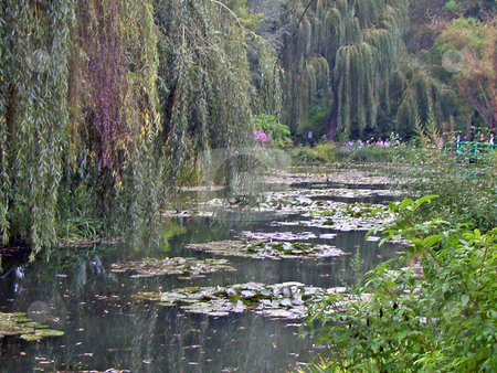To use this stock image in your creative project, please select the size you need over to the right and click the "Add to Cart" button.
Your downloaded image will come with the Cutcaster watermark removed so don’t worry about the watermark you see on this page. Water lilies stock photo, Water lilies near the home of Claude Monet in Giverny, France by Antoine Cherrier