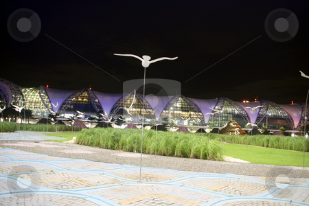 To use this stock image in your creative project, please select the size you need over to the right and click the "Add to Cart" button.
Your downloaded image will come with the Cutcaster watermark removed so don’t worry about the watermark you see on this page. White birds stock photo, White birds night shut at bangkok new airport suvarnabhummi by EVANGELOS THOMAIDIS