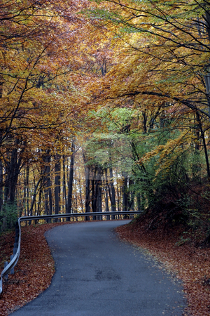 To use this stock image in your creative project, please select the size you need over to the right and click the "Add to Cart" button.
Your downloaded image will come with the Cutcaster watermark removed so don’t worry about the watermark you see on this page. Country road in autumn stock photo, Country road in autumn by Fesus Robert