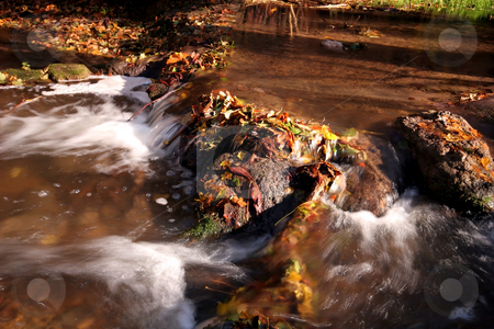 To use this stock image in your creative project, please select the size you need over to the right and click the "Add to Cart" button.
Your downloaded image will come with the Cutcaster watermark removed so don’t worry about the watermark you see on this page. Creek in the forest in Autumn stock photo, Creek in the forest in Autumn by Fesus Robert