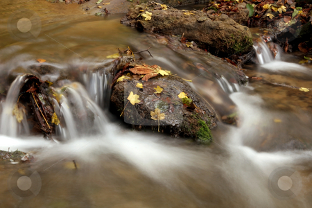 To use this stock image in your creative project, please select the size you need over to the right and click the "Add to Cart" button.
Your downloaded image will come with the Cutcaster watermark removed so don’t worry about the watermark you see on this page. Creek in the forest in Autumn stock photo, Creek in the forest in Autumn by Fesus Robert