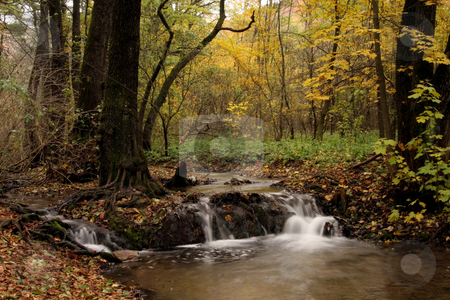 To use this stock image in your creative project, please select the size you need over to the right and click the "Add to Cart" button.
Your downloaded image will come with the Cutcaster watermark removed so don’t worry about the watermark you see on this page. Tiny waterfall autumn colors in the forest stock photo, autumn colors in the forest by Fesus Robert