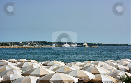 To use this stock image in your creative project, please select the size you need over to the right and click the "Add to Cart" button.
Your downloaded image will come with the Cutcaster watermark removed so don’t worry about the watermark you see on this page. Dense beach umbrellas stock photo, Many umbrellas on a restaurant beach of Cannes with a wonderful view on luxury yachts by Natalia Macheda