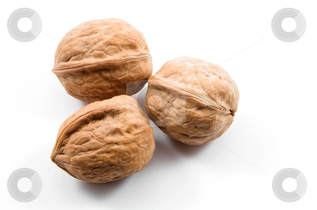 To use this stock image in your creative project, please select the size you need over to the right and click the "Add to Cart" button.
Your downloaded image will come with the Cutcaster watermark removed so don’t worry about the watermark you see on this page. Walnuts stock photo, Delicious whole uinshelled walnuts ready for consumption. by Robert Byron