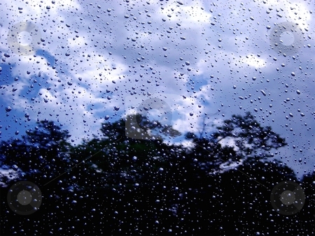 To use this stock image in your creative project, please select the size you need over to the right and click the "Add to Cart" button.
Your downloaded image will come with the Cutcaster watermark removed so don’t worry about the watermark you see on this page. Raindrop reflection stock photo, by Valeria Lee