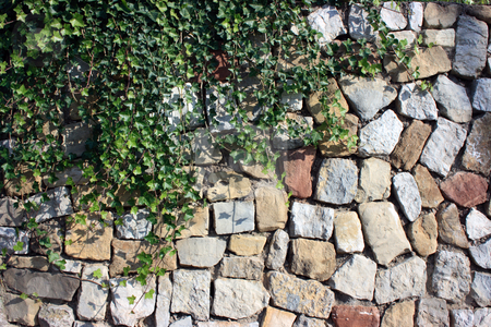 To use this stock image in your creative project, please select the size you need over to the right and click the "Add to Cart" button.
Your downloaded image will come with the Cutcaster watermark removed so don’t worry about the watermark you see on this page. Ivy against stone wall stock photo, Ivy decorating a wall built of trimmed multicolored stones by Natalia Macheda