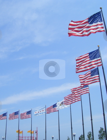 To use this stock image in your creative project, please select the size you need over to the right and click the "Add to Cart" button.
Your downloaded image will come with the Cutcaster watermark removed so don’t worry about the watermark you see on this page. Chicago Navy Pier USA Flags stock photo, This is a picture of Some USA flags on Chicago's Navy Pier on Lake Michigan, Thanks by David Robinson