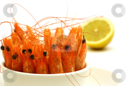 To use this stock image in your creative project, please select the size you need over to the right and click the "Add to Cart" button.
Your downloaded image will come with the Cutcaster watermark removed so don’t worry about the watermark you see on this page. Shrimps in a bowl stock photo, Tiny bowl full of shrimps, antenna and head in the air, isolated on white by Tilo