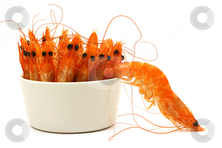 To use this stock image in your creative project, please select the size you need over to the right and click the "Add to Cart" button.
Your downloaded image will come with the Cutcaster watermark removed so don’t worry about the watermark you see on this page. Shrimp escape stock photo, Tiny bowl full of shrimps, antenna and head in the air, one shrimp escapes. Isolated on white. by Tilo