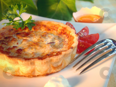To use this stock image in your creative project, please select the size you need over to the right and click the "Add to Cart" button.
Your downloaded image will come with the Cutcaster watermark removed so don’t worry about the watermark you see on this page. Quiche stock photo, Tasty quiche in a plate by Tilo