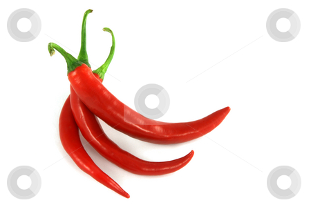 To use this stock image in your creative project, please select the size you need over to the right and click the "Add to Cart" button.
Your downloaded image will come with the Cutcaster watermark removed so don’t worry about the watermark you see on this page. Red chili peppers stock photo, Red hot chili peppers isolated on white by Tilo