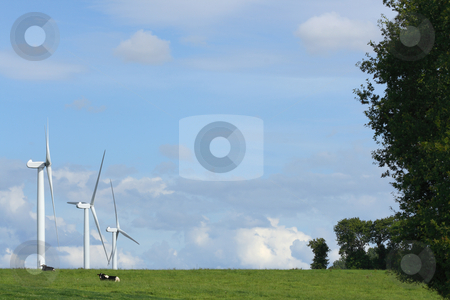 To use this stock image in your creative project, please select the size you need over to the right and click the "Add to Cart" button.
Your downloaded image will come with the Cutcaster watermark removed so don’t worry about the watermark you see on this page. Clean power stock photo, Landscape with three windmills in the countryside by Tilo