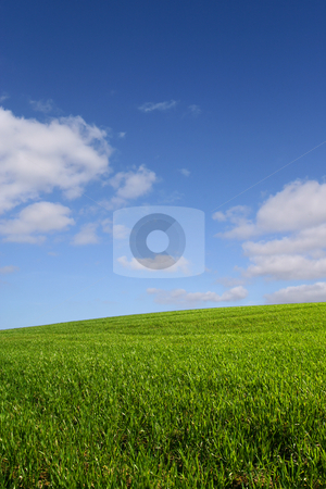 To use this stock image in your creative project, please select the size you need over to the right and click the "Add to Cart" button.
Your downloaded image will come with the Cutcaster watermark removed so don’t worry about the watermark you see on this page. The green hill (vertical) stock photo, A green hill under a blue sky by Tilo