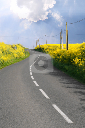 To use this stock image in your creative project, please select the size you need over to the right and click the "Add to Cart" button.
Your downloaded image will come with the Cutcaster watermark removed so don’t worry about the watermark you see on this page. Through the rape fields stock photo, Curved road through overflowing rape fields by Tilo