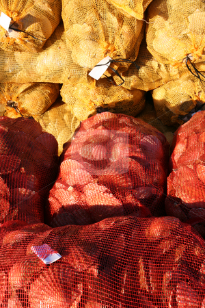To use this stock image in your creative project, please select the size you need over to the right and click the "Add to Cart" button.
Your downloaded image will come with the Cutcaster watermark removed so don’t worry about the watermark you see on this page. Scallop shells stock photo, Scallop shells in nets by Tilo