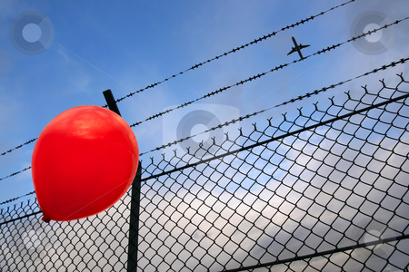 To use this stock image in your creative project, please select the size you need over to the right and click the "Add to Cart" button.
Your downloaded image will come with the Cutcaster watermark removed so don’t worry about the watermark you see on this page. Barbed freedom stock photo, A red balloon in danger by Tilo