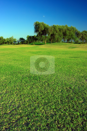To use this stock image in your creative project, please select the size you need over to the right and click the "Add to Cart" button.
Your downloaded image will come with the Cutcaster watermark removed so don’t worry about the watermark you see on this page. Green landscape stock photo, Green golf course under deep blue sky by Natalia Macheda