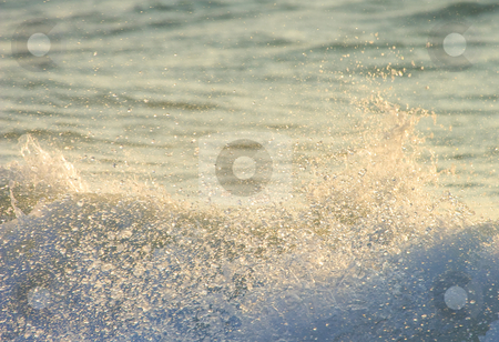 To use this stock image in your creative project, please select the size you need over to the right and click the "Add to Cart" button.
Your downloaded image will come with the Cutcaster watermark removed so don’t worry about the watermark you see on this page. Dancing Waves stock photo, Waves dancing in the light of the setting sun as they crash ashore on a MArco ISland Beach in Florida. by Mike Dawson