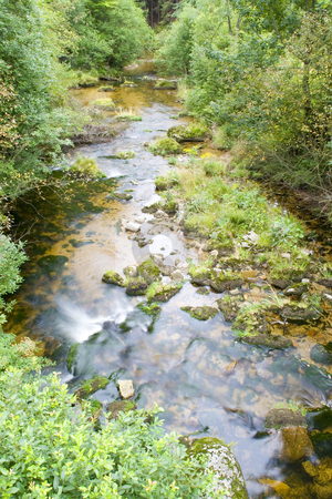 To use this stock image in your creative project, please select the size you need over to the right and click the "Add to Cart" button.
Your downloaded image will come with the Cutcaster watermark removed so don’t worry about the watermark you see on this page. Stream in the Green stock photo, A little stream in the mountain valley by Petr Koudelka