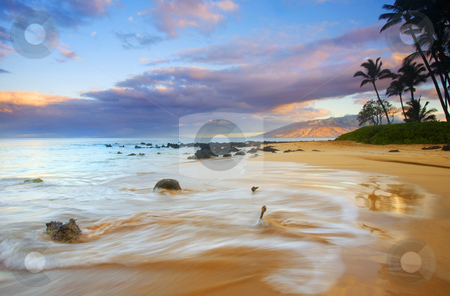 To use this stock image in your creative project, please select the size you need over to the right and click the "Add to Cart" button.
Your downloaded image will come with the Cutcaster watermark removed so don’t worry about the watermark you see on this page. Paradise Dawn stock photo, The rising sun illuminating the mountains of West Maui from a beach lined with Palms near Kihei. by Mike Dawson