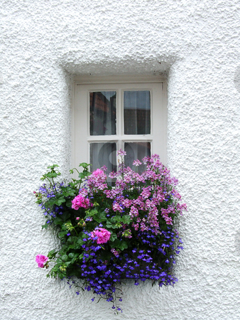 To use this stock image in your creative project, please select the size you need over to the right and click the "Add to Cart" button.
Your downloaded image will come with the Cutcaster watermark removed so don’t worry about the watermark you see on this page. Tiny Scottish window stock photo, Tiny Scottish window with flowers by Juliet Photography