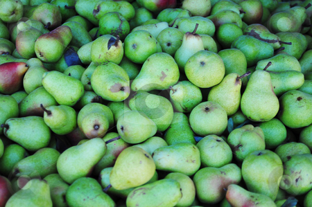 To use this stock image in your creative project, please select the size you need over to the right and click the "Add to Cart" button.
Your downloaded image will come with the Cutcaster watermark removed so don’t worry about the watermark you see on this page. Pairs Of Pears stock photo, Many freshly harveted green Pears ready for market. by Lynn Bendickson