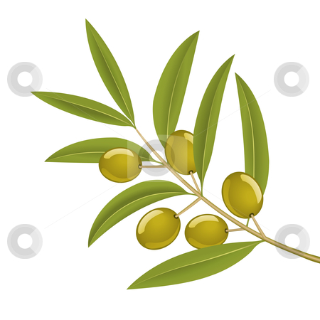 To use this stock image in your creative project, please select the size you need over to the right and click the "Add to Cart" button.
Your downloaded image will come with the Cutcaster watermark removed so don’t worry about the watermark you see on this page. Olive branch stock vector clipart, Green olives on branch, detailed vector illustration by Tilo