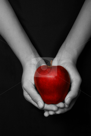 To use this stock image in your creative project, please select the size you need over to the right and click the "Add to Cart" button.
Your downloaded image will come with the Cutcaster watermark removed so don’t worry about the watermark you see on this page. The original sin stock photo, Hands holding a red apple in black background by Jonas Marcos San Luis