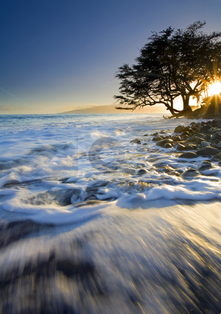 To use this stock image in your creative project, please select the size you need over to the right and click the "Add to Cart" button.
Your downloaded image will come with the Cutcaster watermark removed so don’t worry about the watermark you see on this page. Swept out to Sea stock photo, A lone tree on the South coast of Maui near Lahaina seems to be in danger of being swept out to sea by the ebbing tides at sunset. by Mike Dawson
