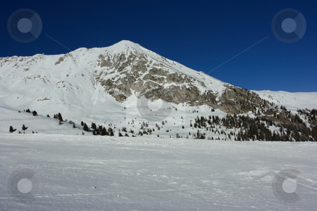 To use this stock image in your creative project, please select the size you need over to the right and click the "Add to Cart" button.
Your downloaded image will come with the Cutcaster watermark removed so don’t worry about the watermark you see on this page. Winter mountain peak stock photo, Dolomites peak view from a ski trace by Natalia Macheda