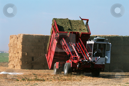 To use this stock image in your creative project, please select the size you need over to the right and click the "Add to Cart" button.
Your downloaded image will come with the Cutcaster watermark removed so don’t worry about the watermark you see on this page. MPIXIS250584 stock photo, Farmer baling hay by Mpixis World