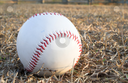 To use this stock image in your creative project, please select the size you need over to the right and click the "Add to Cart" button.
Your downloaded image will come with the Cutcaster watermark removed so don’t worry about the watermark you see on this page. Baseball stock photo, A lone baseball with bright red stitching. by Robert Byron