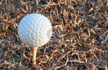 To use this stock image in your creative project, please select the size you need over to the right and click the "Add to Cart" button.
Your downloaded image will come with the Cutcaster watermark removed so don’t worry about the watermark you see on this page. Golf Ball stock photo, Golf bal for that game where you hit the ball and then chase it. by Robert Byron
