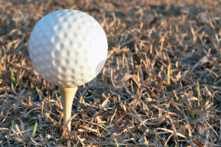 To use this stock image in your creative project, please select the size you need over to the right and click the "Add to Cart" button.
Your downloaded image will come with the Cutcaster watermark removed so don’t worry about the watermark you see on this page. Golf Ball stock photo, Golf bal for that game where you hit the ball and then chase it. by Robert Byron