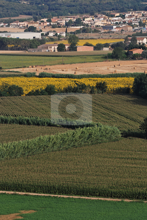 To use this stock image in your creative project, please select the size you need over to the right and click the "Add to Cart" button.
Your downloaded image will come with the Cutcaster watermark removed so don’t worry about the watermark you see on this page. Rural landscape in Catalonia stock photo, by Gady Cojocaru