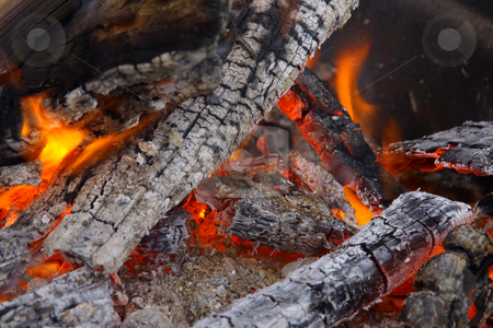 To use this stock image in your creative project, please select the size you need over to the right and click the "Add to Cart" button.
Your downloaded image will come with the Cutcaster watermark removed so don’t worry about the watermark you see on this page. Burning Campfire with Coals stock photo, Campfire wood fire burning with charred coals. by Steve Stedman