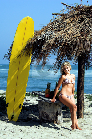 To use this stock image in your creative project, please select the size you need over to the right and click the "Add to Cart" button.
Your downloaded image will come with the Cutcaster watermark removed so don’t worry about the watermark you see on this page. Bikini Beach Blond stock photo, Sexy blond surfer in a pink and brown bikini by Swimbay by Robert Deal