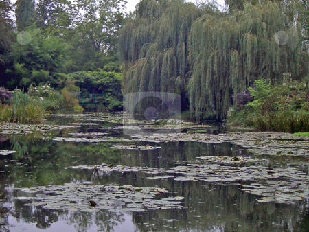 To use this stock image in your creative project, please select the size you need over to the right and click the "Add to Cart" button.
Your downloaded image will come with the Cutcaster watermark removed so don’t worry about the watermark you see on this page. Water Lilies in Giverny stock photo, A view of water lilies near the home of Claude Monet, Giverny, France by Antoine Cherrier