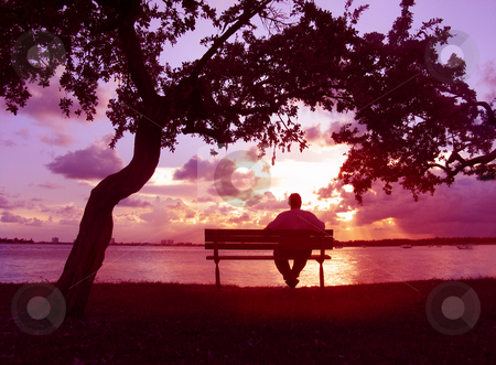 To use this stock image in your creative project, please select the size you need over to the right and click the "Add to Cart" button.
Your downloaded image will come with the Cutcaster watermark removed so don’t worry about the watermark you see on this page. Sunset stock photo, Man on bench watching the sunset by Anita Peppers
