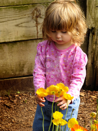 To use this stock image in your creative project, please select the size you need over to the right and click the "Add to Cart" button.
Your downloaded image will come with the Cutcaster watermark removed so don’t worry about the watermark you see on this page. Little girl with flowers stock photo, by Anita Peppers